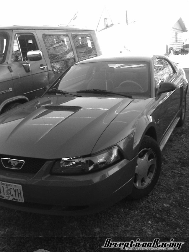 2000 Ford Mustang Modified Car Pictures